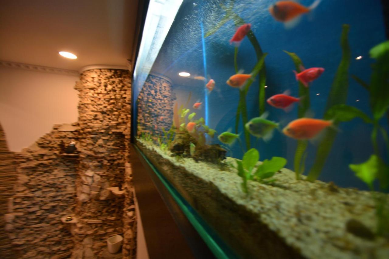 Gala - Guesthouse Nagyvárad Kültér fotó